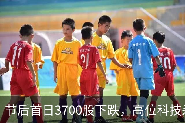 节后首日3700股下跌，高位科技杀疯，明天A股主线藏在里